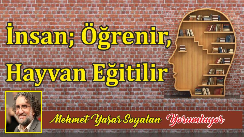 MEHMET YAŞAR SOYALAN / “AN” DA VE “O AN” DA CENNETTE ÇOCUKLAR / İnsan; Öğrenir, Hayvan Eğitilir /Mehmet Yaşar SOYALAN
