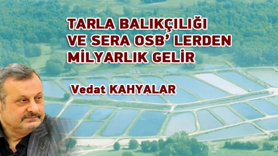 VEDAT KAHYALAR / Siyonistleri doğru tanımak gerekir / TARLA BALIKÇILIĞI VE SERA OSB'LERDEN MİLYARLIK GELİR / Vedat KAHYALAR 