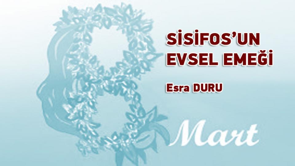 KAPİTALİST SİSTEMİN SEVMEYECEĞİ DERSLER-Esra DURU / SİSİFOS’UN EVSEL EMEĞİ / Esra Duru