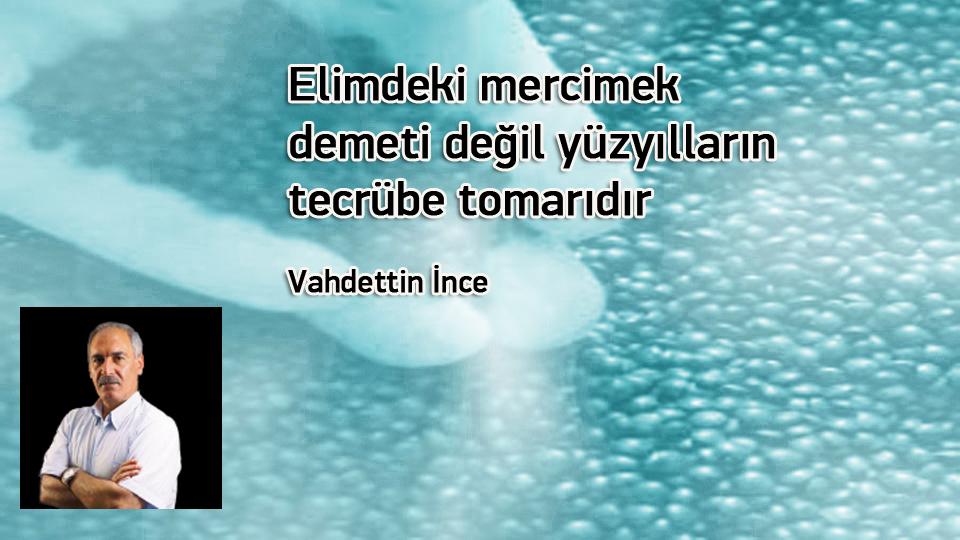 Ertesi gün/ Vahdettin İNCE / Elimdeki mercimek demeti değil yüzyılların tecrübe tomarıdır / Vahdettin İnce