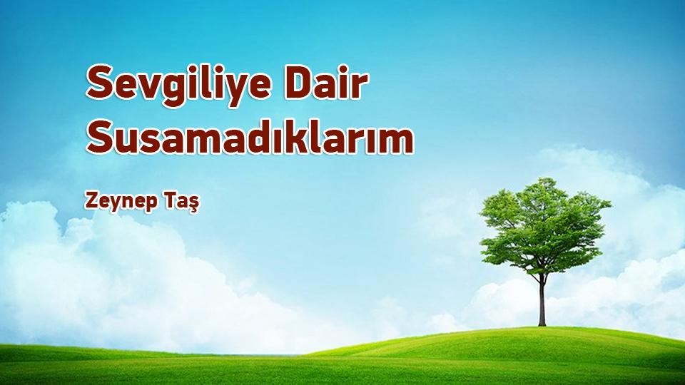 Söz'ün Hakimiyeti-Zeynep Taş / Sevgiliye Dair Susamadıklarım / Zeynep Taş