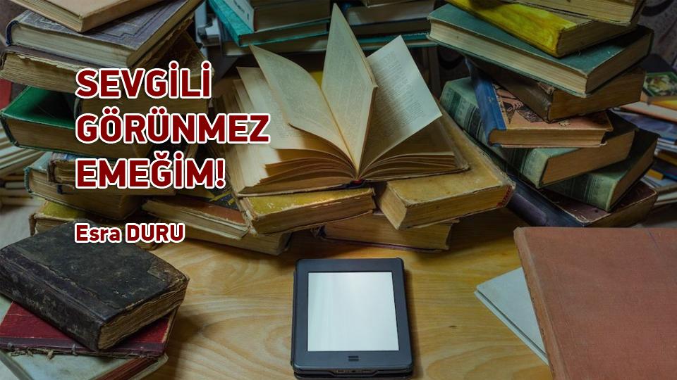 ESRA DURU / İstinat Duvarımız Bel Verdi / SEVGİLİ GÖRÜNMEZ EMEĞİM! / Esra DURU