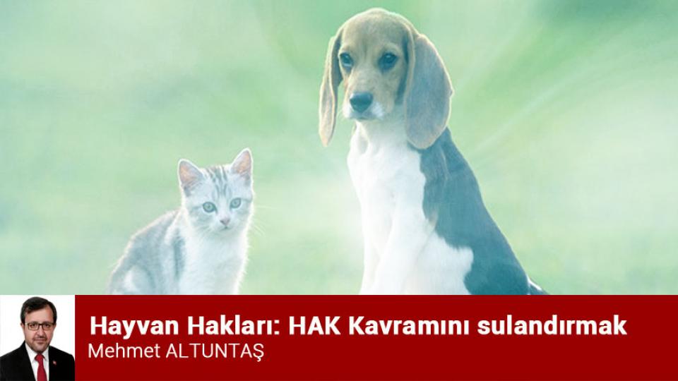 Danıştay Kararı Üzerinden Üretilen Yanılsamalar ve Hukuki Gerçekler: Başıboş Köpek Sorunu, Kamu Güvenliği ve Mevzuatın Açık Hükümleri / Mehmet Altuntaş / Hayvan Hakları: HAK Kavramını sulandırmak / Mehmet ALTUNTAŞ