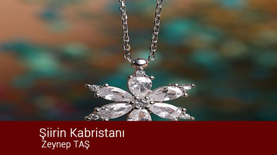 Söz'ün Hakimiyeti-Zeynep Taş / Şiirin Kabristanı / Zeynep TAŞ