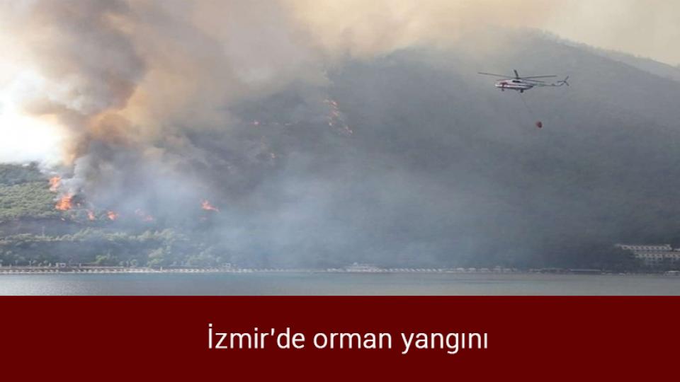 Siyonist işgalcileri taşıyan otobüse silahlı eylem: 2'si ağır 7 yaralı / İzmir'de orman yangını