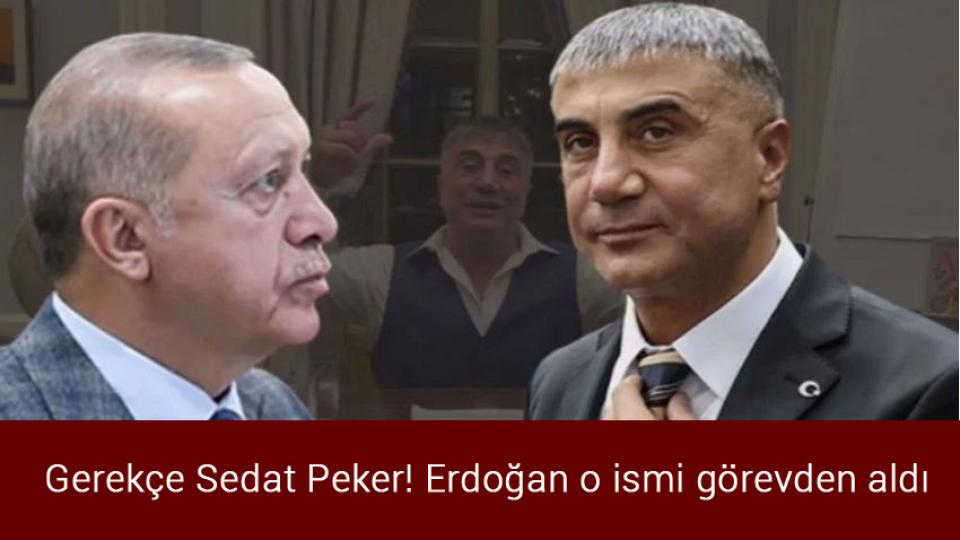 Almanya'da 6 ay elektrik tasarrufu programı uygulanacak / Gerekçe Sedat Peker! Erdoğan o ismi görevden aldı