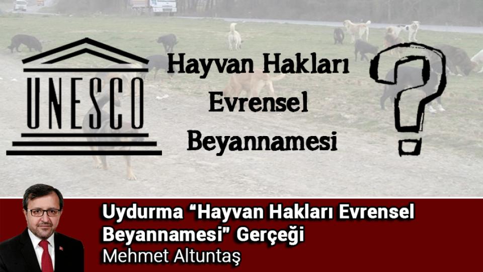 Başıboş Köpek Sorunu ve Türkiye Yüzyılı Milli Eğitim Müfredat Modeli | Mehmet Altuntaş / Uydurma “Hayvan Hakları Evrensel Beyannamesi” Gerçeği.. / Mehmet ALTUNTAŞ