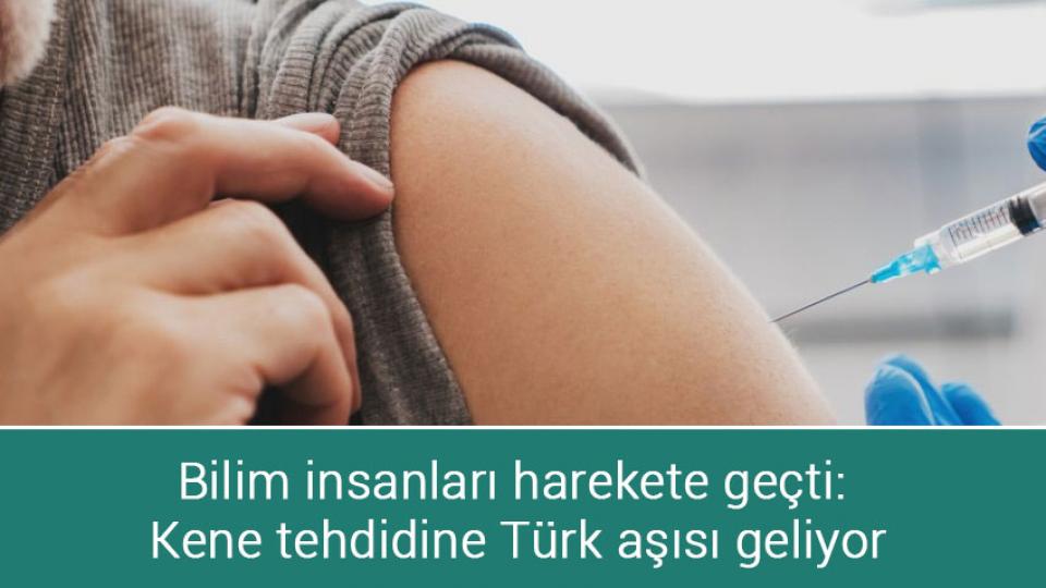 Batı Şeria direniyor / Bilim insanları harekete geçti: Kene tehdidine Türk aşısı geliyor