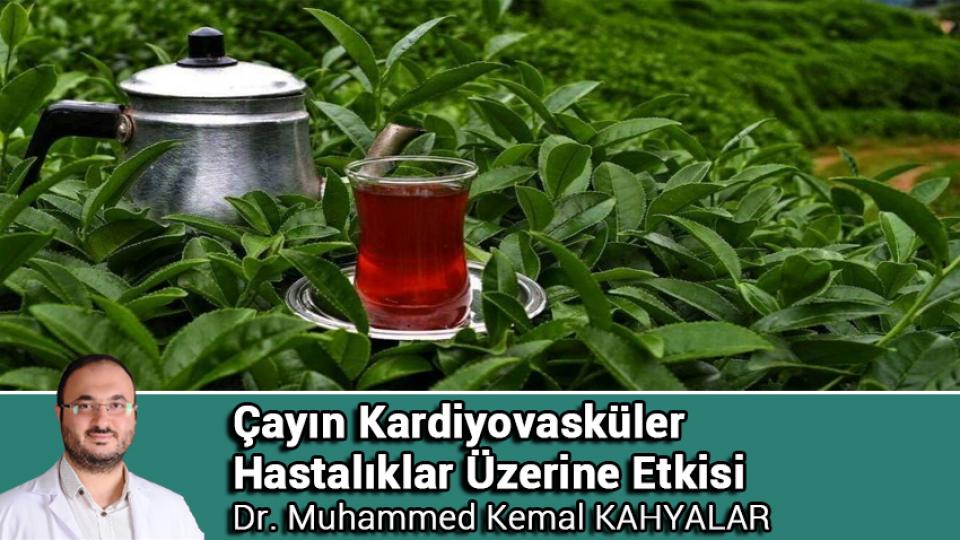 Yaşlılık ve Kardiyovasküler Hastalıklar / Dr. Muhammed Kemal KAHYALAR / Çayın Kardiyovasküler Hastalıklar Üzerine Etkisi / Dr. Muhammed Kemal KAHYALAR