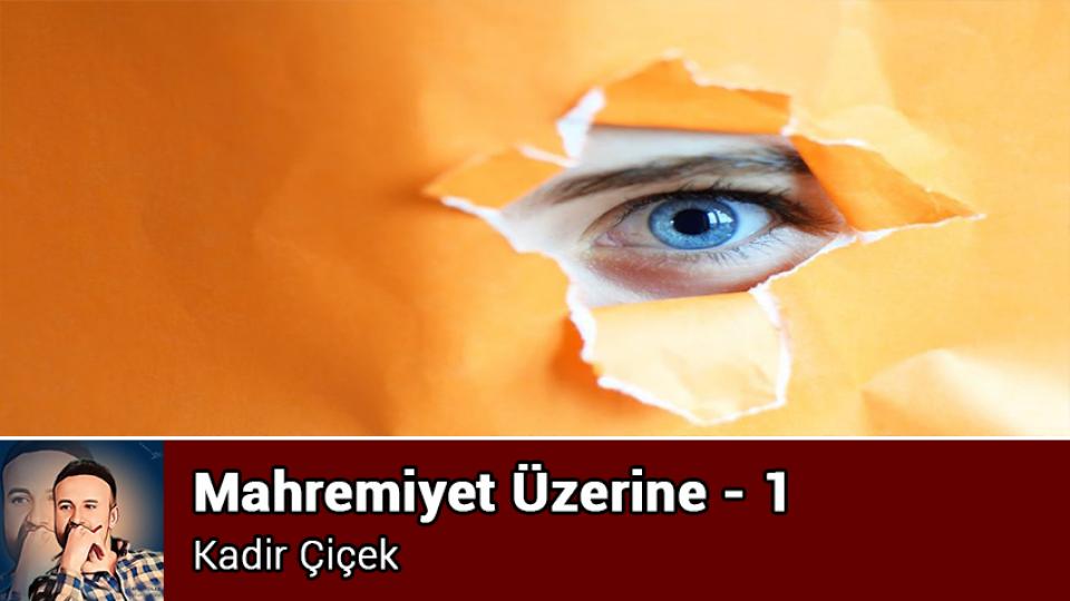 KADİR ÇİÇEK / KİTLESEL KÖTÜLÜK VE KÖRLEŞME HÂLİ  / Mahremiyet Üzerine - 1 / Kadir ÇİÇEK