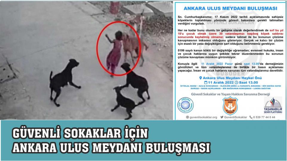 Filistinli gazeteci Büşra Et-Tavil özgürlüğüne kavuştu! / GÜVENLİ SOKAKLAR İÇİN ANKARA ULUS'TA BASIN AÇIKLAMASI YAPILACAK