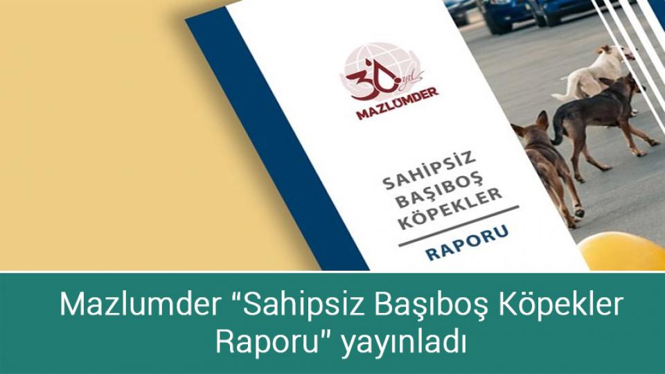 Yaşanabilir Şehir Platformu “2022 Sahipsiz ve Başıboş Köpek Sorunu Raporu” yayınladı / Mazlumder “Sahipsiz Başıboş Köpekler Raporu” yayınladı