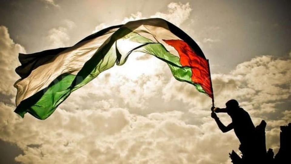 Gazze'de Canlı  Kalmadığında Barış Yakındır!-Ayhan Bilgen / Filistinliler, Kürtler ve Ortadoğu'nun Sorunu|Ayhan Bilgen