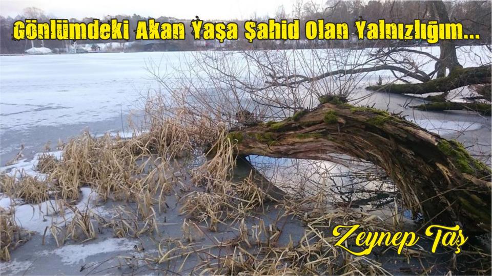 Söz'ün Hakimiyeti-Zeynep Taş / İçimin Cız Ettiği Yer -Zeynep Taş