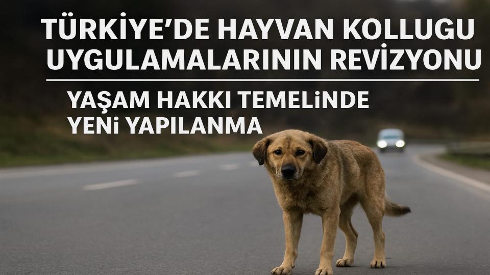 Danıştay Kararı Üzerinden Üretilen Yanılsamalar ve Hukuki Gerçekler: Başıboş Köpek Sorunu, Kamu Güvenliği ve Mevzuatın Açık Hükümleri / Mehmet Altuntaş / Türkiye’de Hayvan Kolluğu Uygulamalarının Revizyonu: Yaşam Hakkı Temelinde Yeni Yapılanma / Mehmet Altuntaş