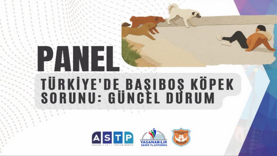Ankara’da “Türkiye’de Başıboş Köpek Sorunu: Güncel Durum” Paneli Düzenlenecek