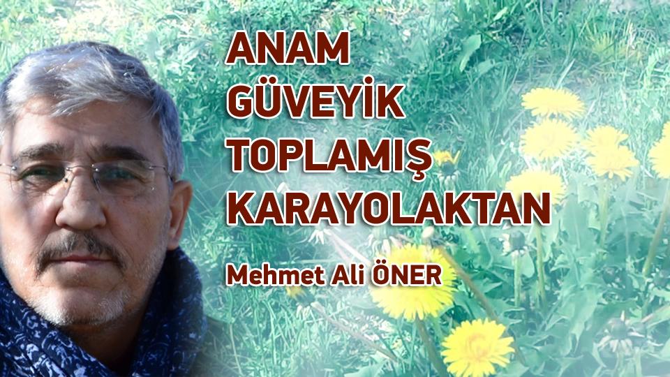 MEHMET ALİ ÖNER/ANAM GÜVEYİK TOPLAMIŞ  KARAYOLAKTAN