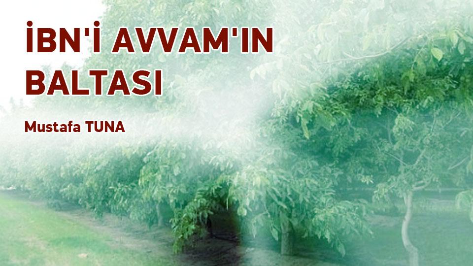 MUSTAFA TUNA/İBN'İ AVVAM'IN BALTASI