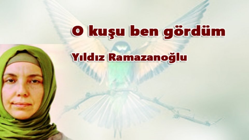 YILDIZ RAMAZANOĞLU/O kuşu ben gördüm